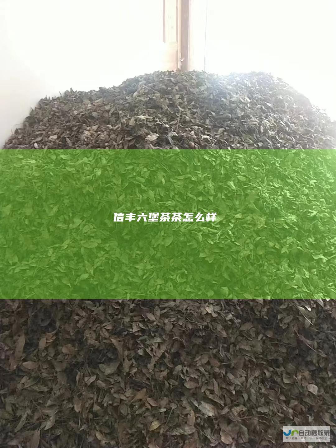 信丰六堡茶茶怎么样