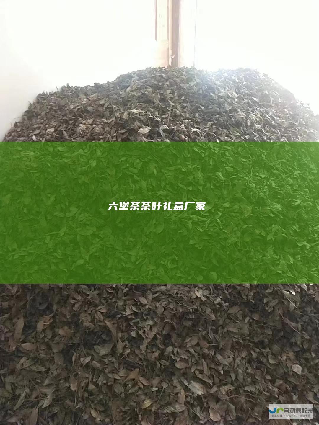 六堡茶茶叶礼盒厂家