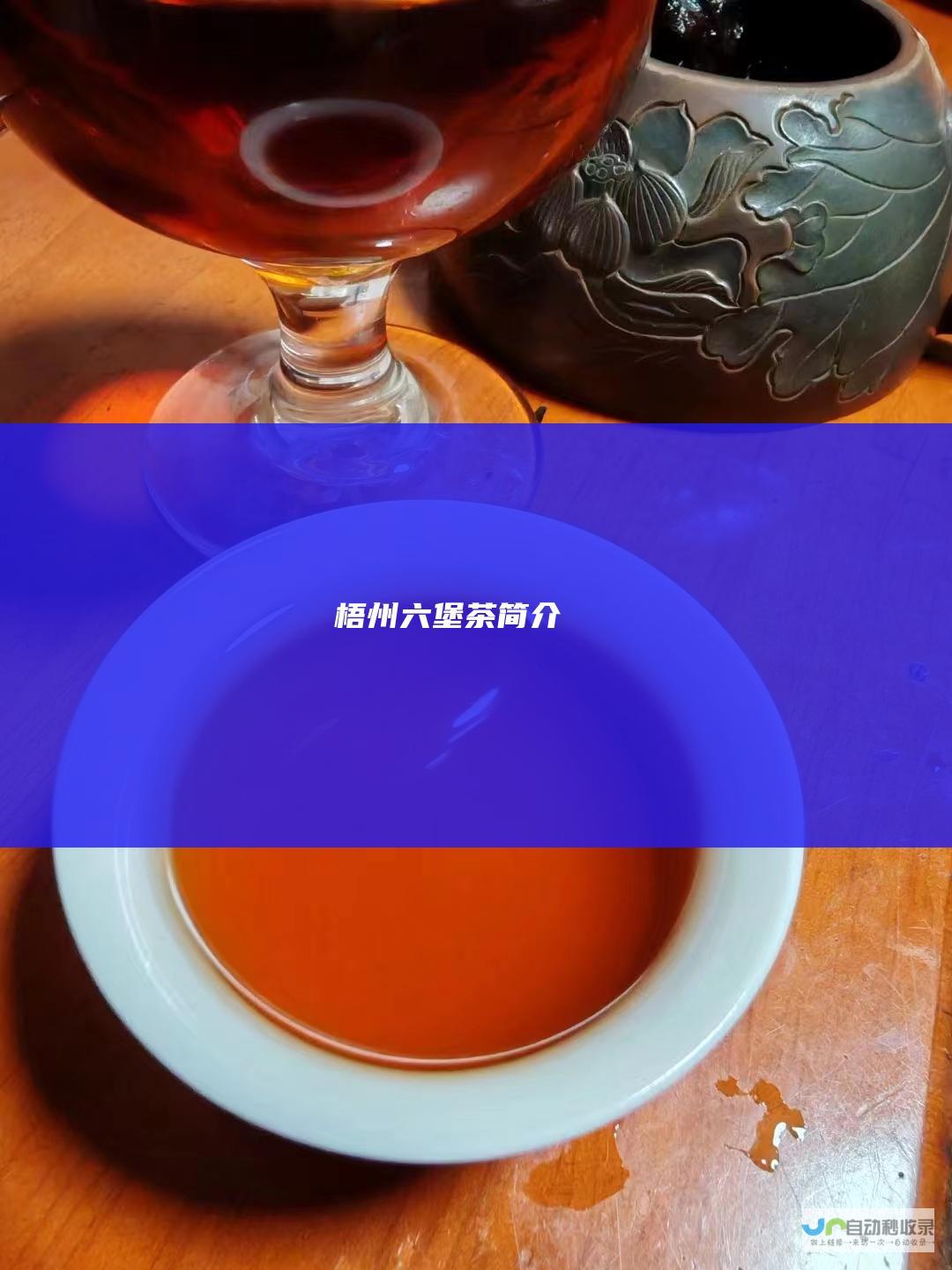 梧州六堡茶简介