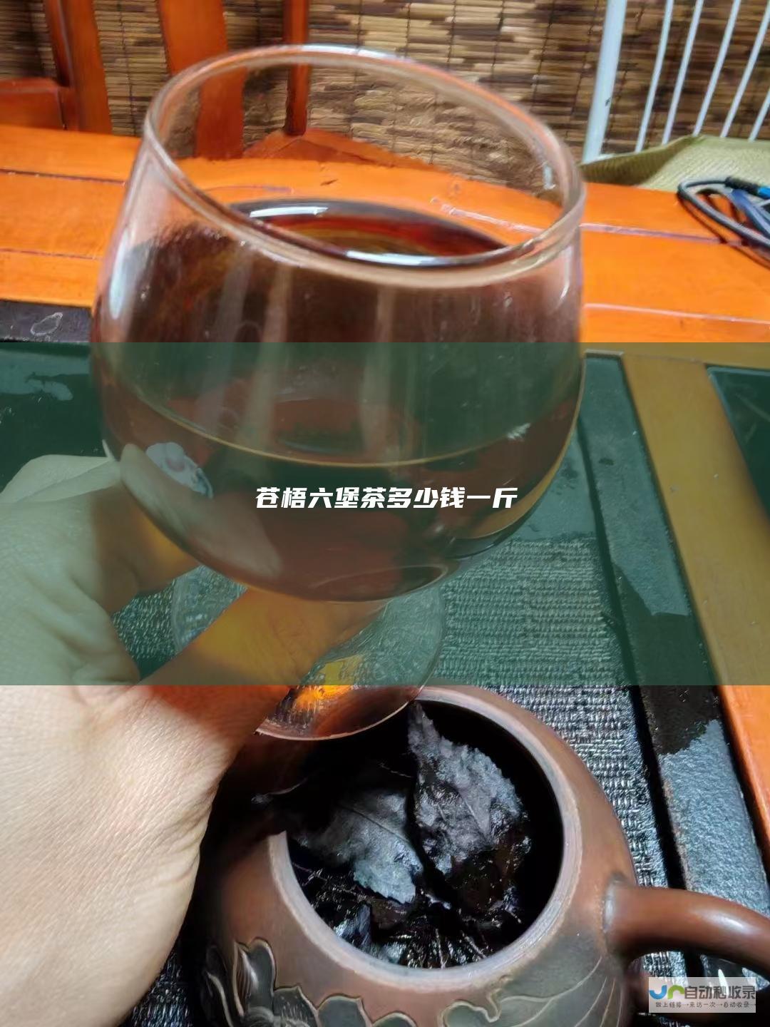 苍梧六堡茶多少钱一斤