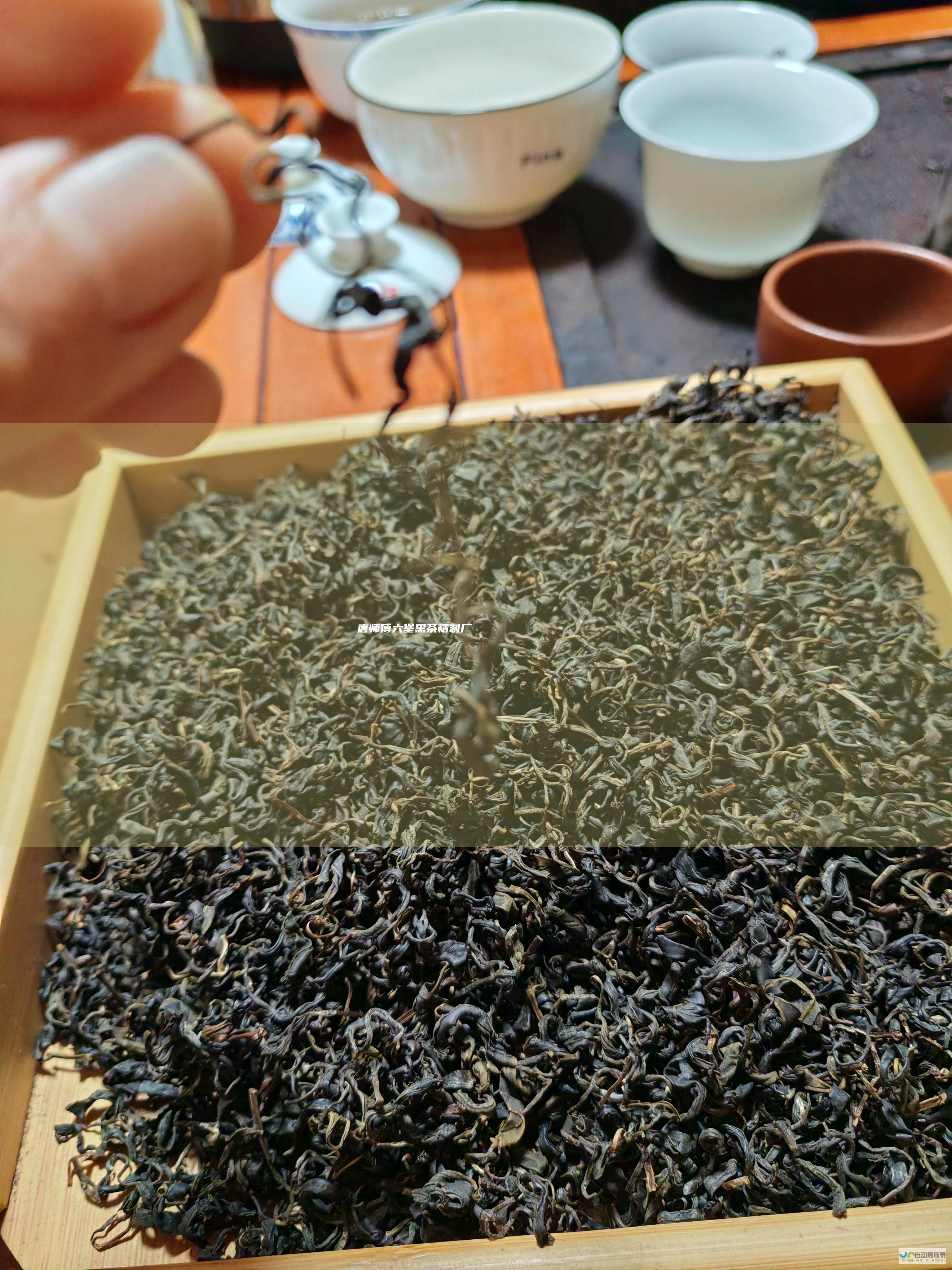 唐师傅六堡黑茶精制厂